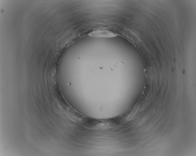 X0000075890364200610062059