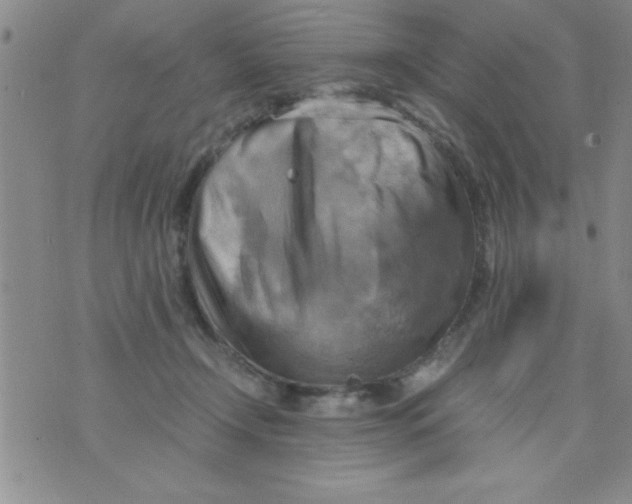 X0000075890366200610062059