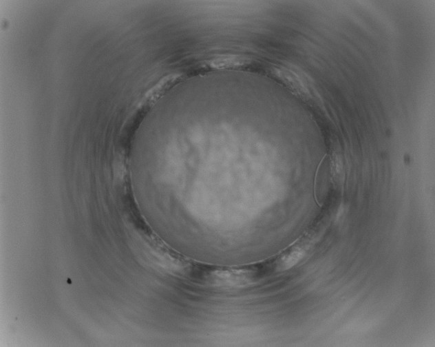 X0000075890367200610062059