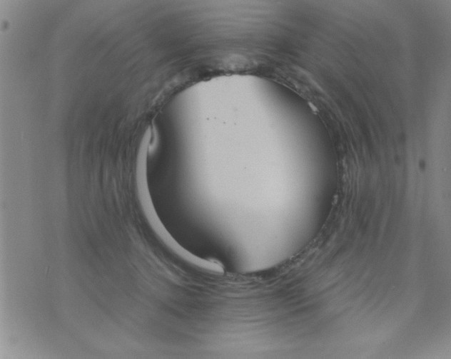 X0000075890368200610062059