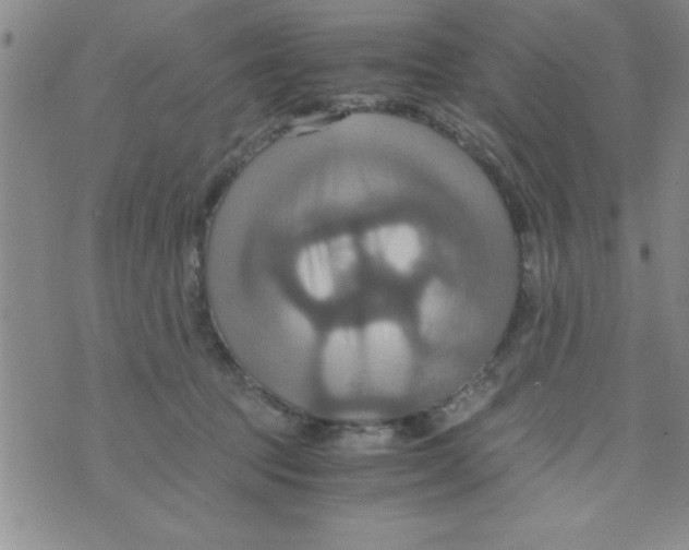 X0000075890369200610062059