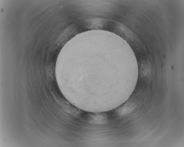 X0000075890370200610062059