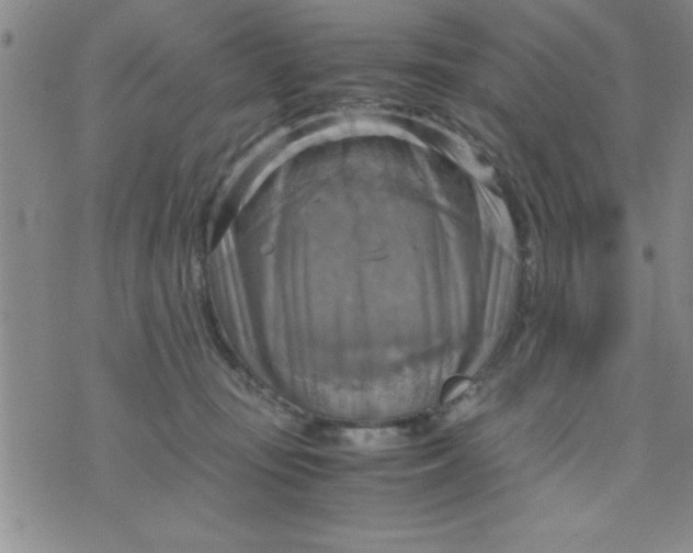 X0000075890371200610062059