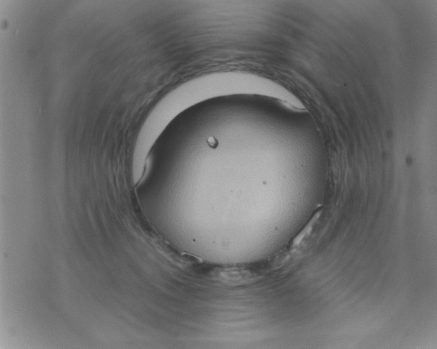 X0000075890372200610062059