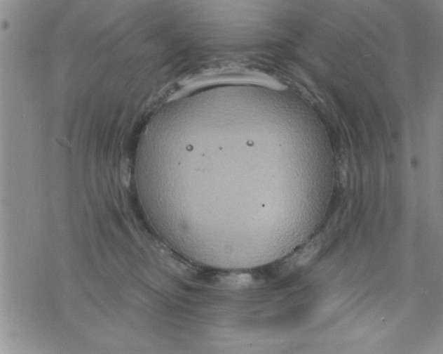 X0000075890374200610062059