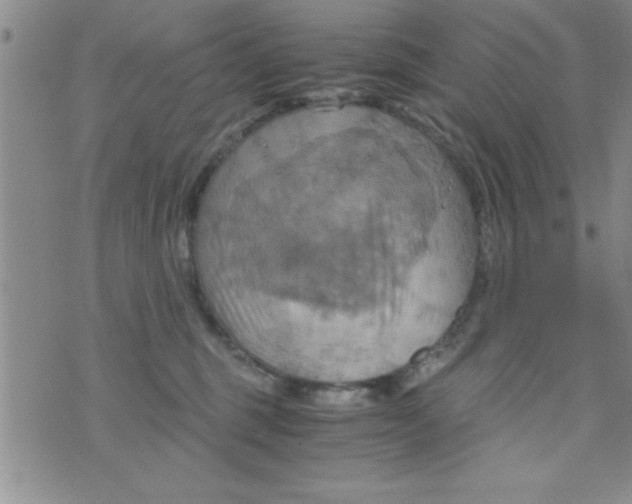 X0000075890375200610062059