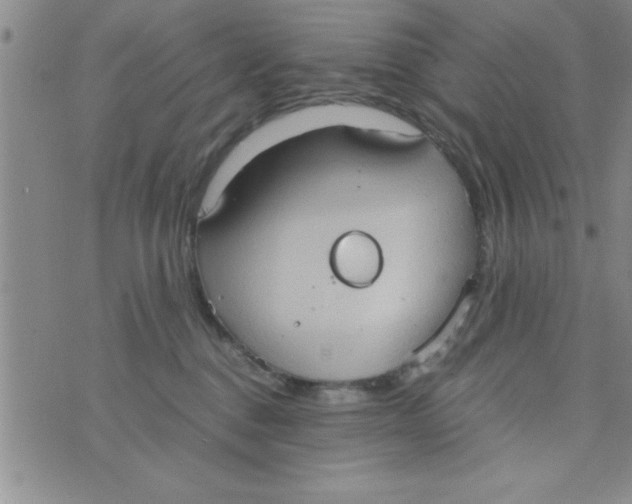 X0000075890376200610062059