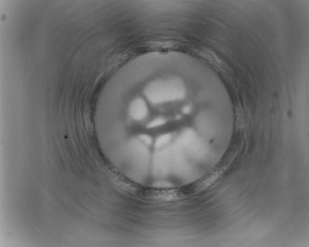 X0000075890377200610062059