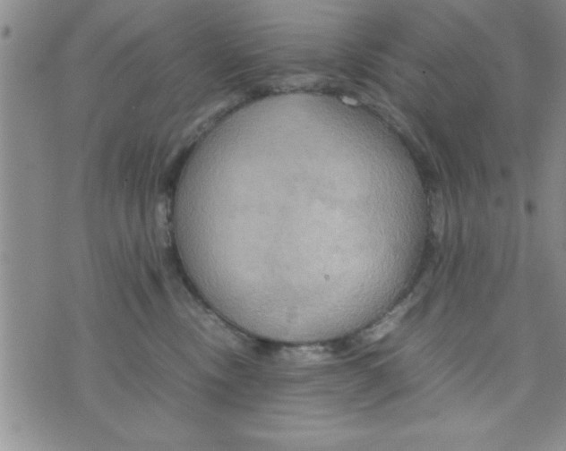 X0000075890378200610062059