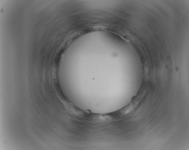 X0000075890379200610062059