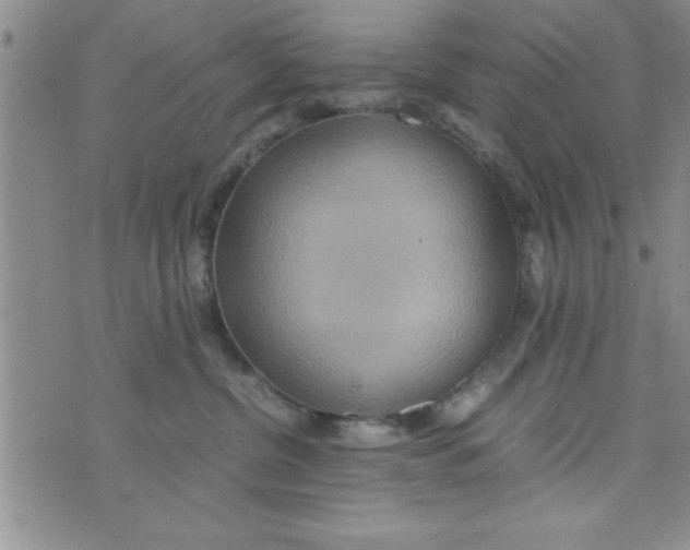 X0000075890380200610062059