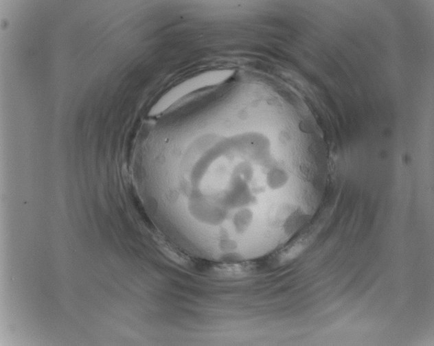 X0000075890381200610062059