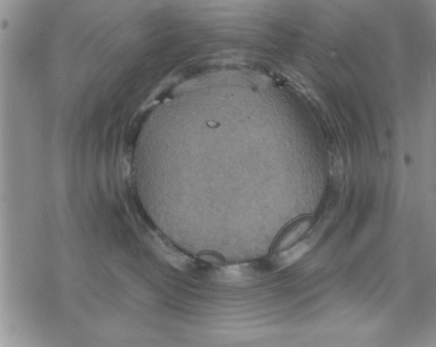 X0000075890382200610062059