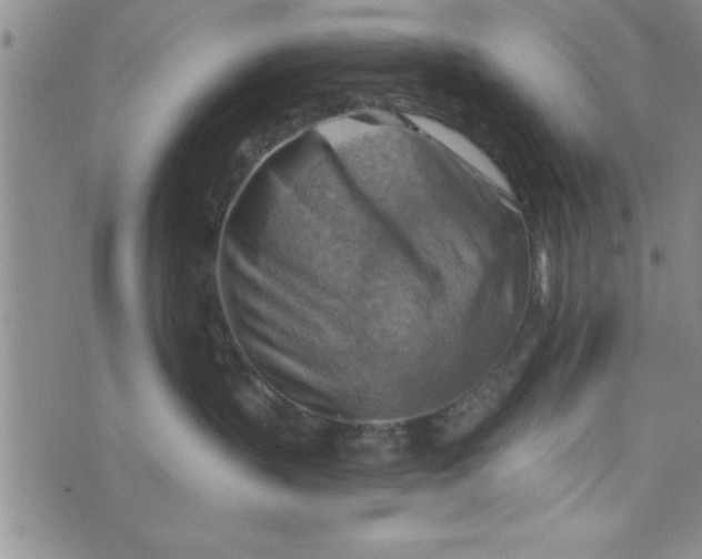 X0000075890383200610062059