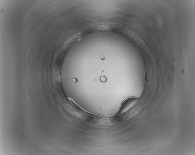 X0000075890384200610062059