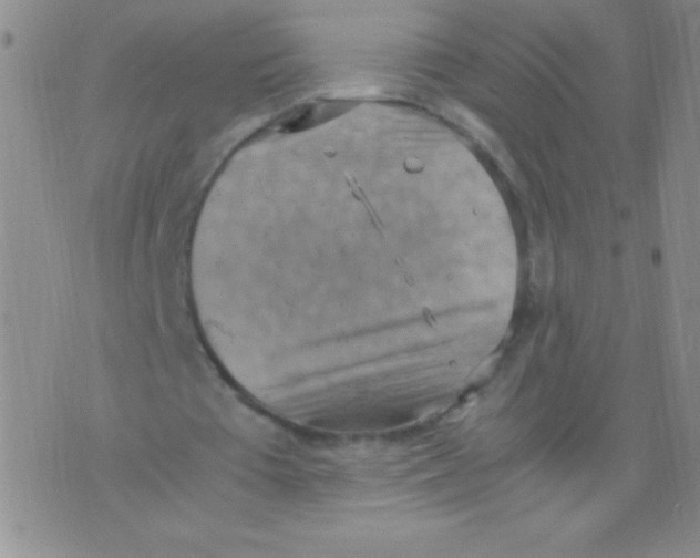 X0000075890385200610062058