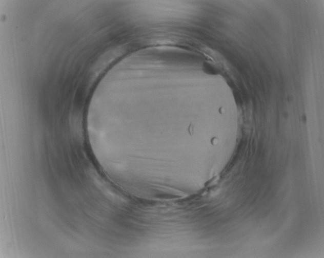 X0000075890386200610062058