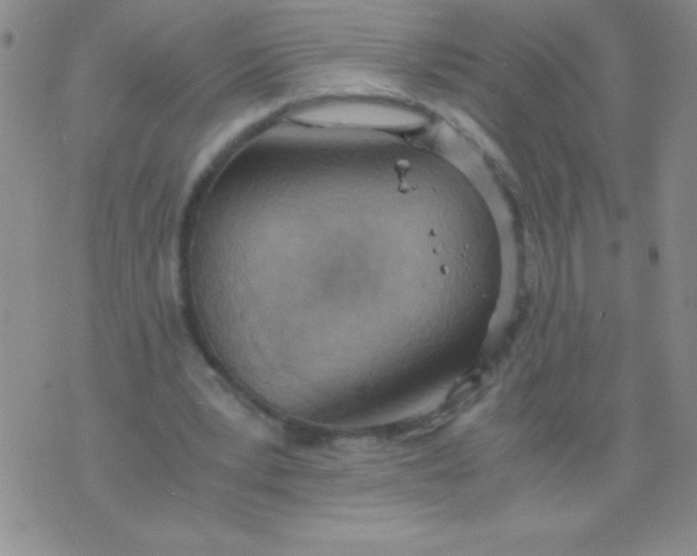 X0000075890391200610062058