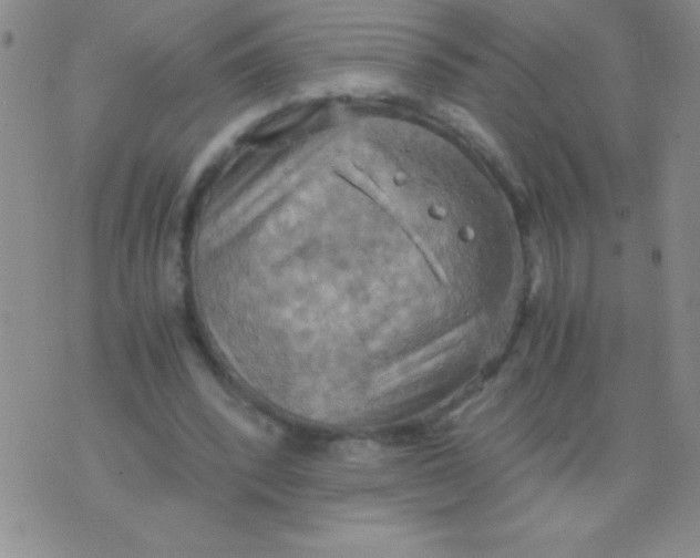 X0000075890392200610062058