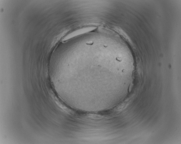 X0000075890393200610062058