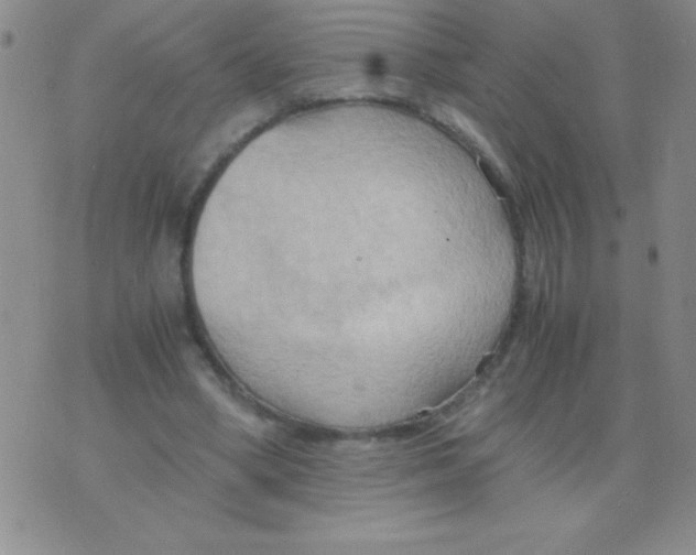 X0000075890394200610062058