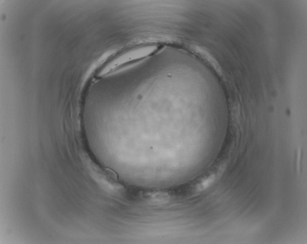 X0000075890395200610062058