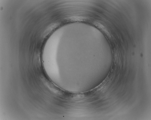 X0000075890398200610062058