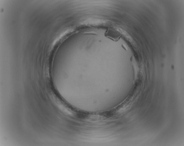 X0000075890399200610062058