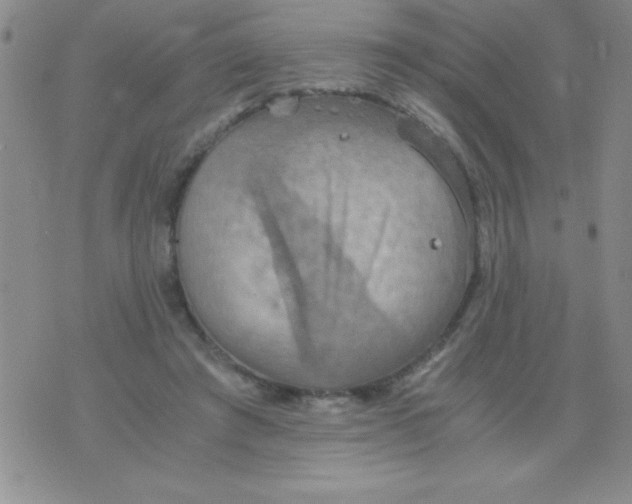 X0000075890401200610062058