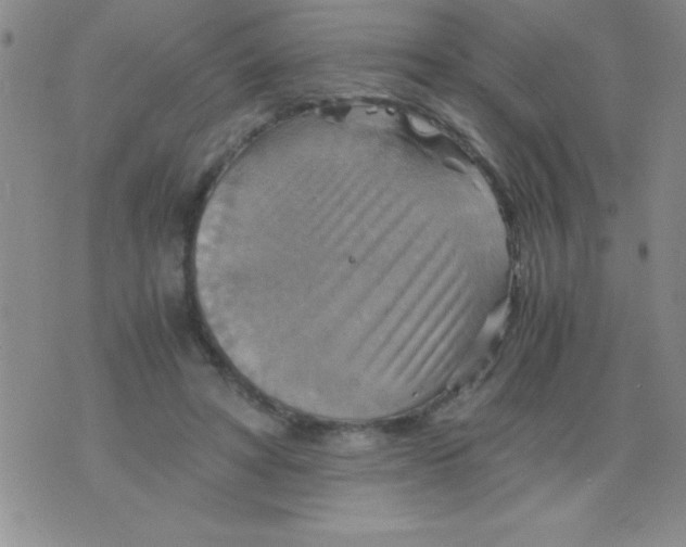 X0000075890402200610062058