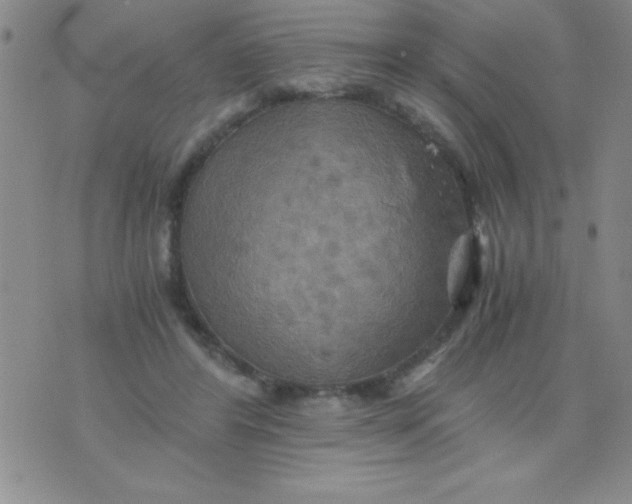 X0000075890404200610062058