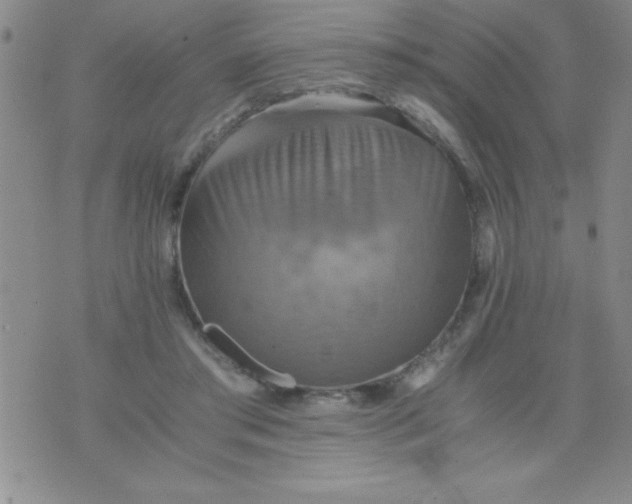 X0000075890405200610062058