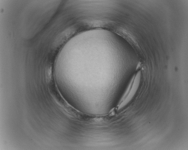 X0000075890406200610062058