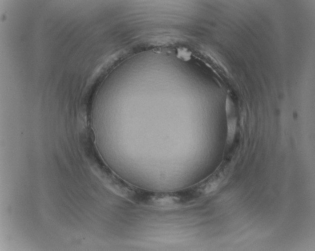 X0000075890407200610062058