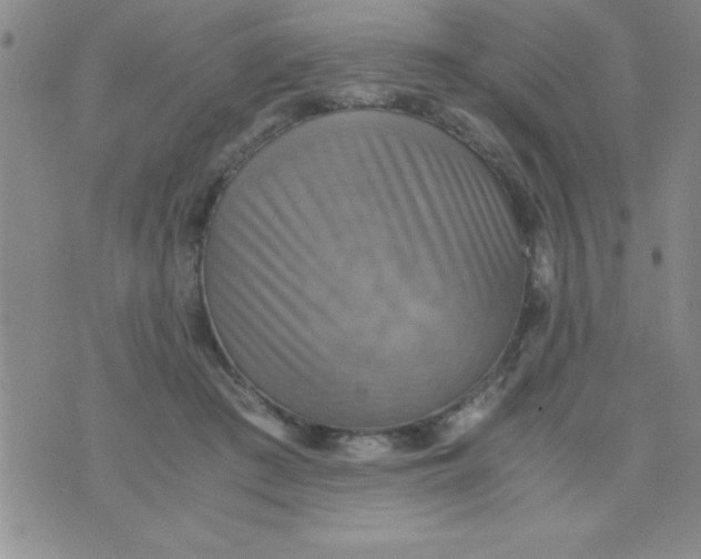 X0000075890409200610062058