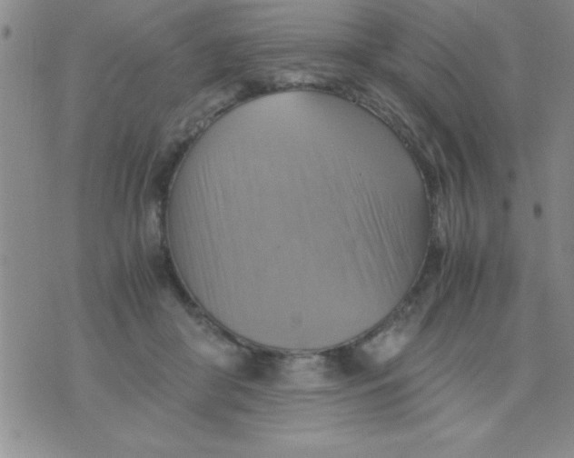 X0000075890410200610062058