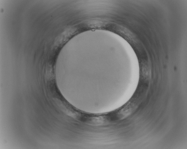 X0000075890411200610062058