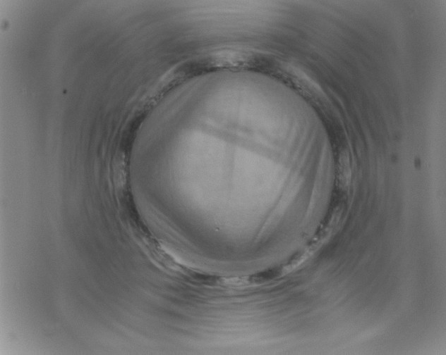 X0000075890413200610062058