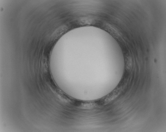 X0000075890414200610062058