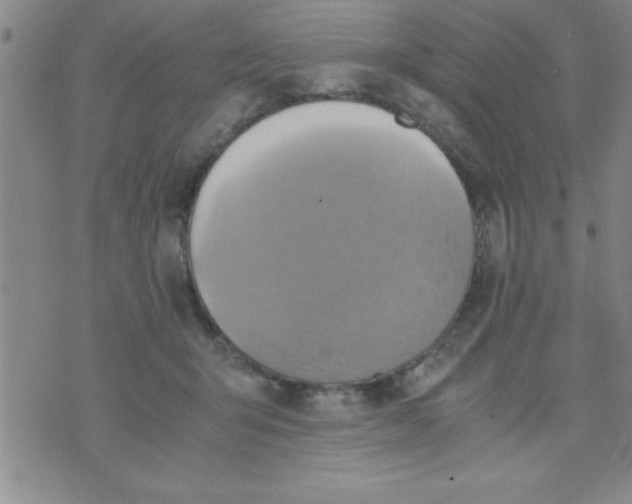 X0000075890415200610062058