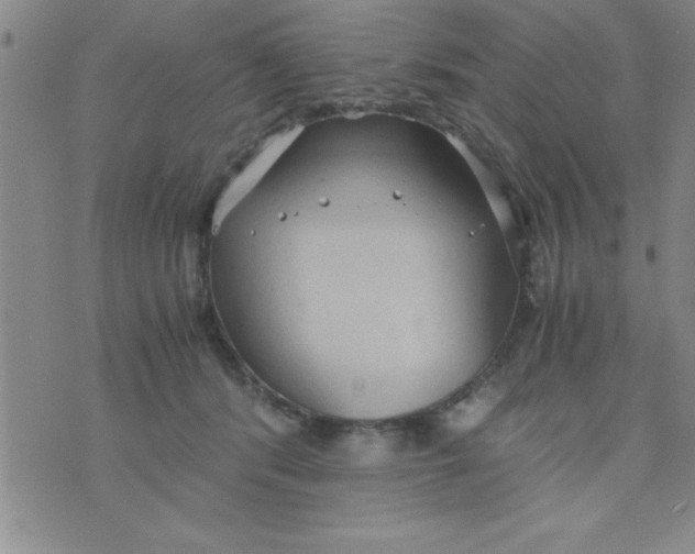 X0000075890416200610062058