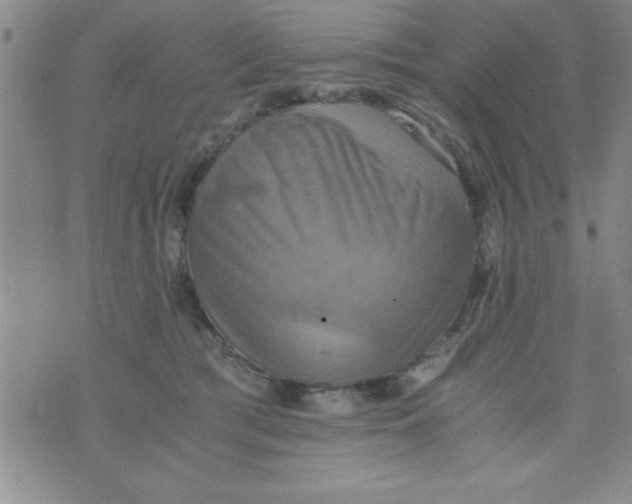 X0000075890417200610062058