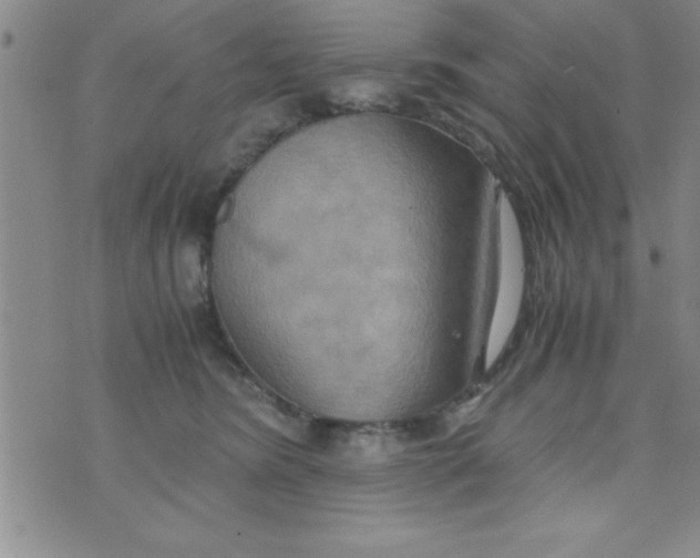 X0000075890420200610062057