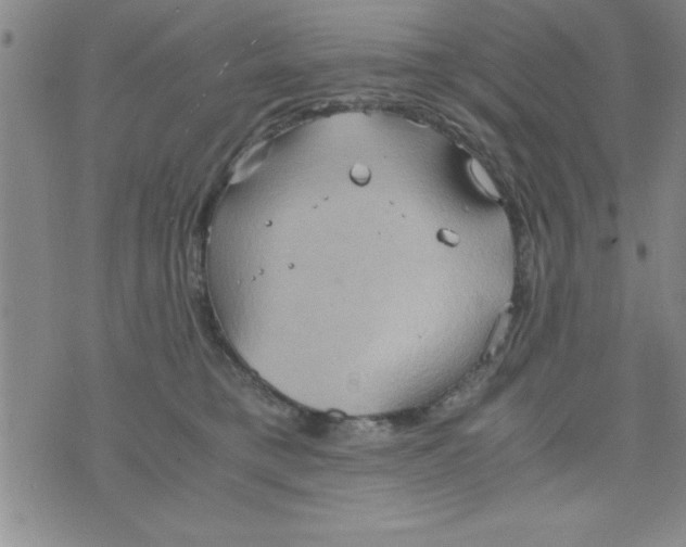 X0000075890421200610062057