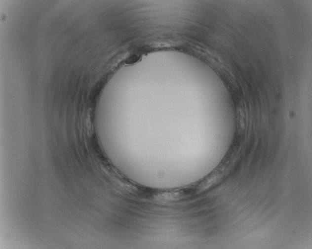 X0000075890422200610062057