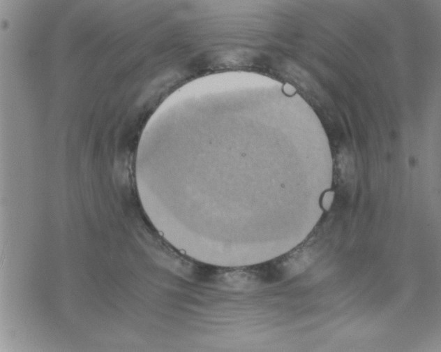 X0000075890423200610062057