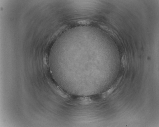 X0000075890424200610062057