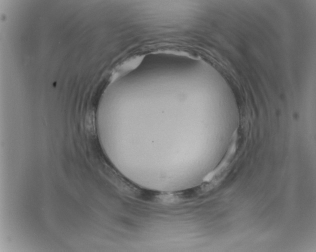 X0000075890425200610062057