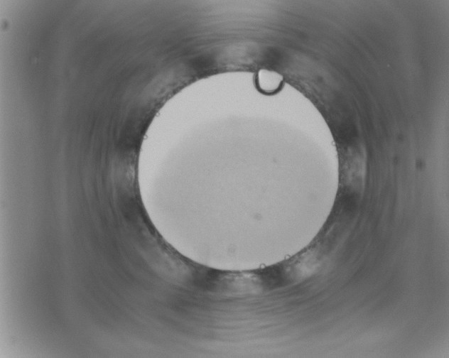 X0000075890427200610062057