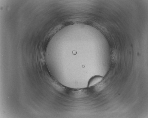 X0000075890430200610062057